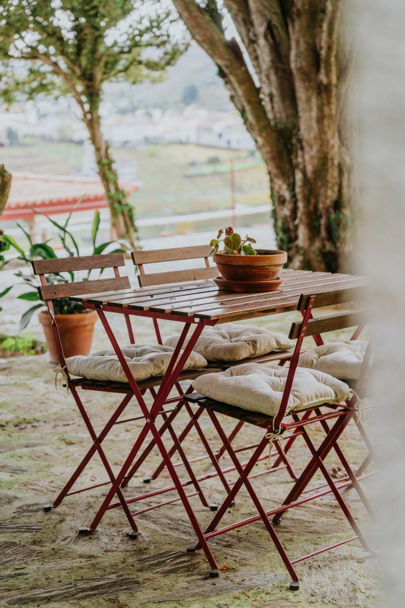산타마르타드페네구아 Casa Do Salgueiral 빌라 외부 사진